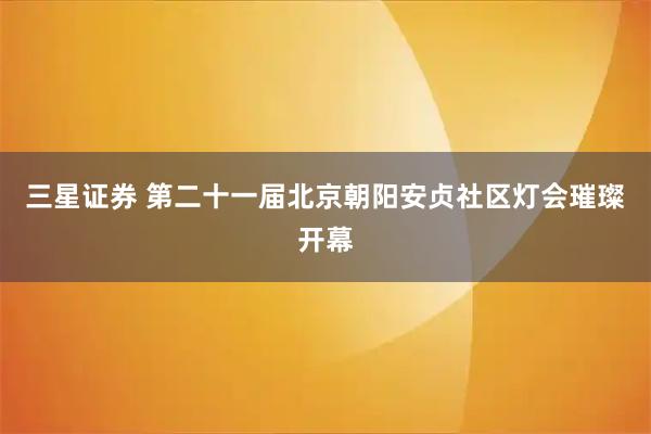 三星证券 第二十一届北京朝阳安贞社区灯会璀璨开幕