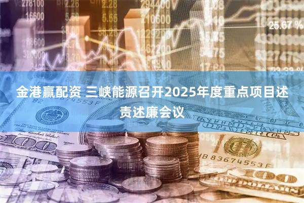 金港赢配资 三峡能源召开2025年度重点项目述责述廉会议