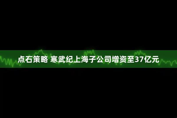 点石策略 寒武纪上海子公司增资至37亿元