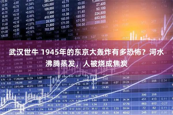 武汉世牛 1945年的东京大轰炸有多恐怖？河水沸腾蒸发，人被烧成焦炭