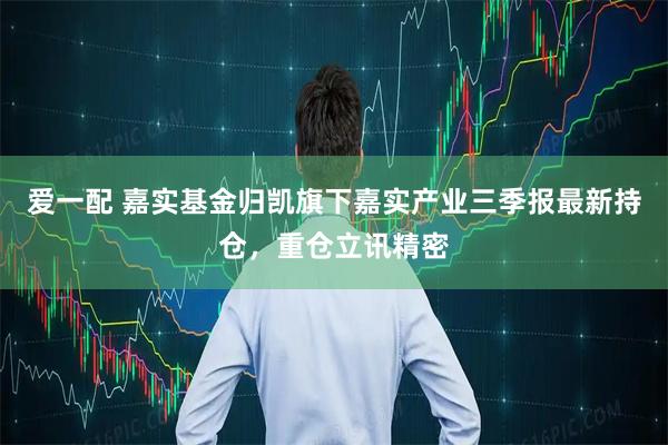 爱一配 嘉实基金归凯旗下嘉实产业三季报最新持仓，重仓立讯精密