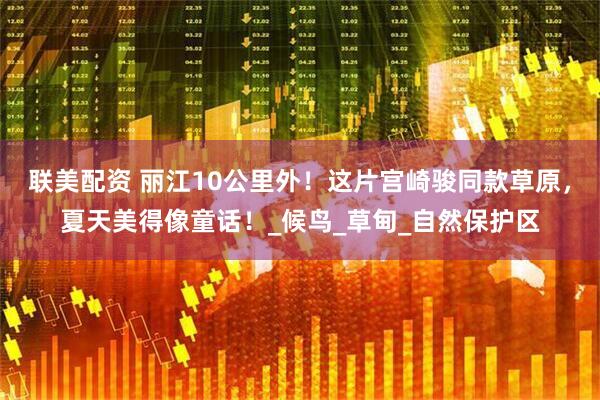 联美配资 丽江10公里外！这片宫崎骏同款草原，夏天美得像童话！_候鸟_草甸_自然保护区